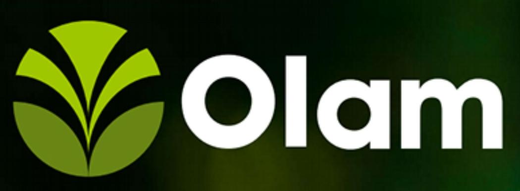 Olam