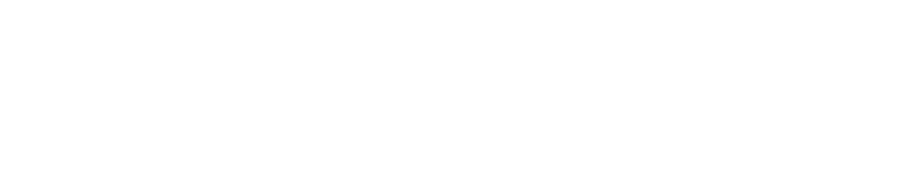 Certificate of Authenticity — Official Licensed Product of the FIFA World Cup 2026™